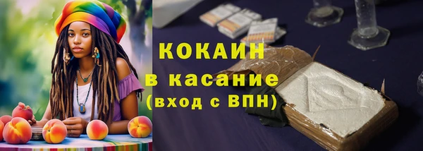 гидра Белоозёрский