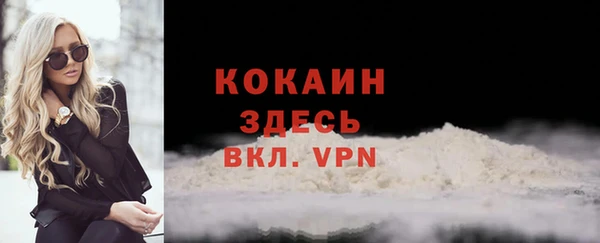 шишки Киренск