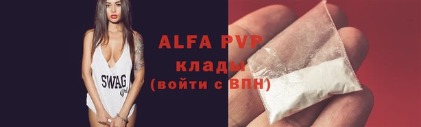 ешки Белокуриха