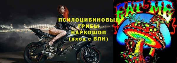 гидра Белоозёрский