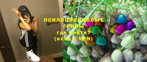 гидра Белоозёрский