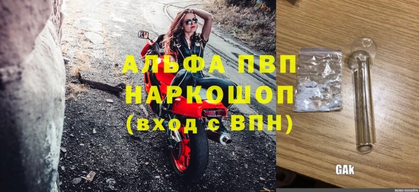 ешки Белокуриха